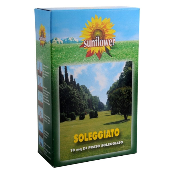 SEMENTI PRATO SOLEGGIATO kg 0,25 SUNFLOWER