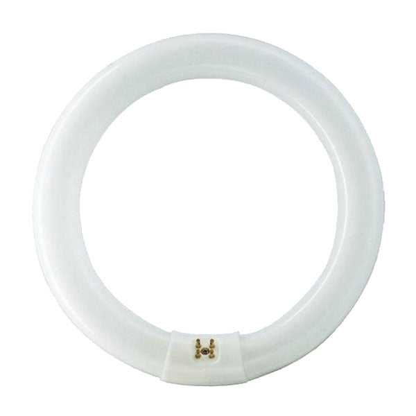 LAMPADA FLUORESCENTE CW W40 CIRCOLARE LEUCI