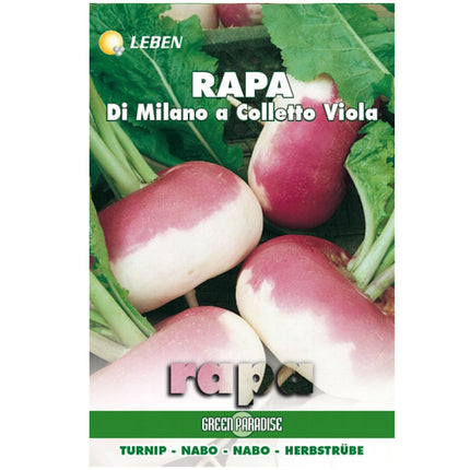 SEMENTI RAPA MILANO COLLETTO VIOLA LEBEN