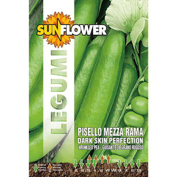 SEMENTI PISELLO MEZZA RAMA PERFECTION SUNFLOWER