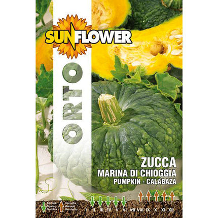 SEMENTI ZUCCA MARINA DI CHIOGGIA SUNFLOWER