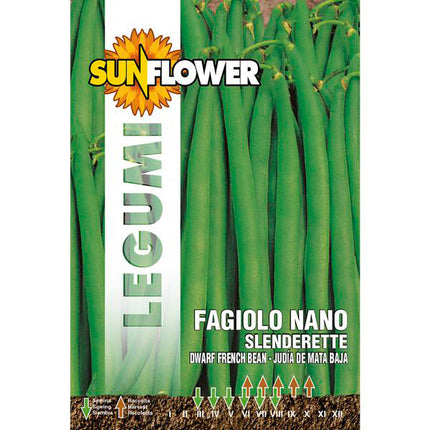 SEMENTI FAGIOLO NANO SLENDERETTE SUNFLOWER