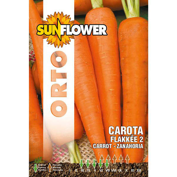 SEMENTI CAROTA FLAKKEE 2 SUNFLOWER