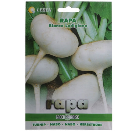 SEMENTI RAPA LODIGIANA BIANCA LEBEN