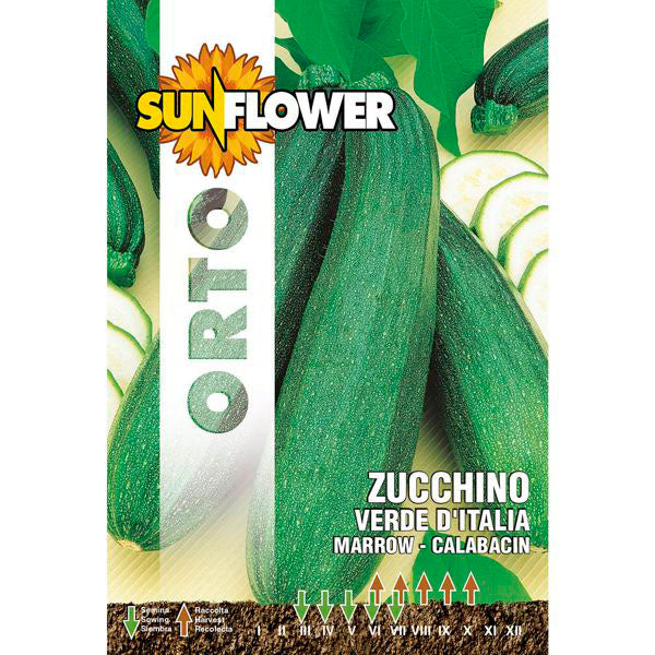 SEMENTI ZUCCHINO VERDE ITALIA SUNFLOWER