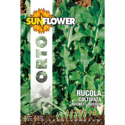 SEMENTI RUCOLA COLTIVATA FOGLIA LARGA SUNFLOWER