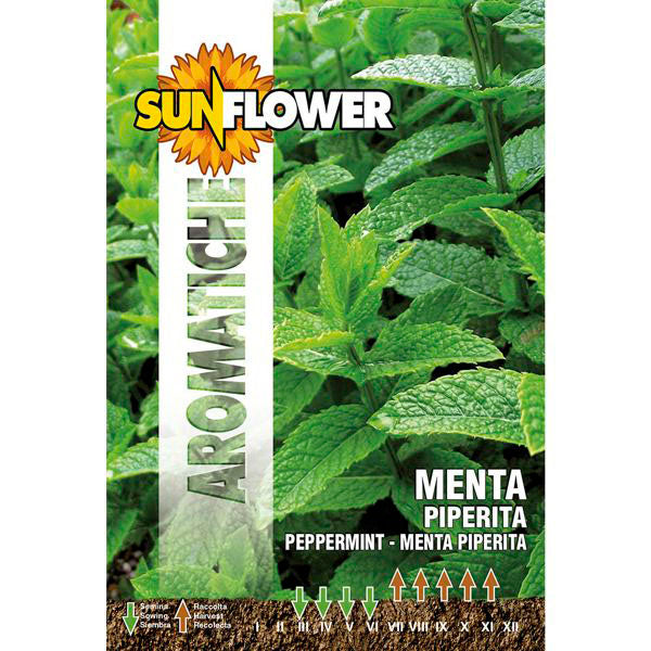 SEMENTI MENTA PIPERITA SUNFLOWER