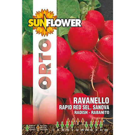 SEMENTI RAVANELLO RAPID RED SUNFLOWER