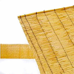 Collection image for: Arelle F